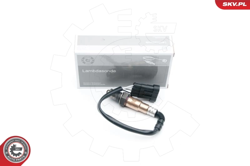 Oxygen Sensor